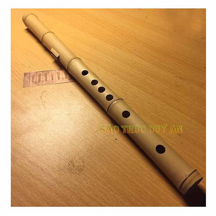 sáo mèo nữ việt nam tone đô loại lốt