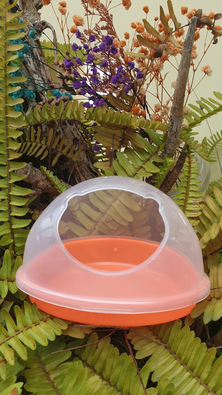 Nhà tắm lớn dành cho hamster bear . Bồn tắm lớn cho Hamster bear, Phụ kiện dành cho Hamster
