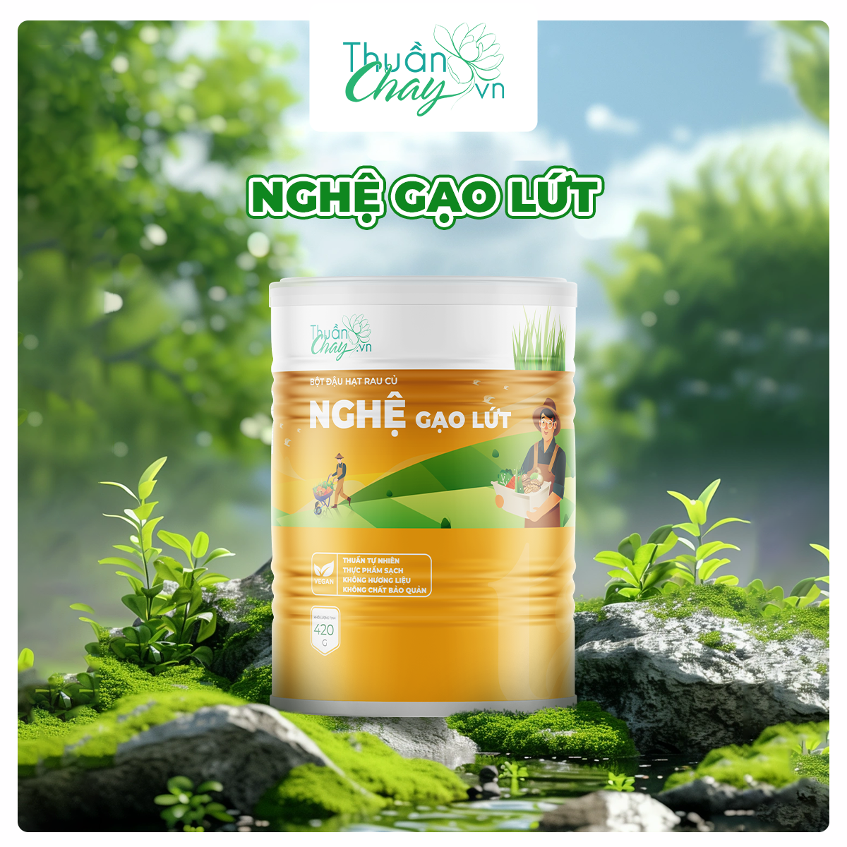 BỘT ĐẬU HẠT RAU CỦ NGHỆ GẠO LỨT - 420g