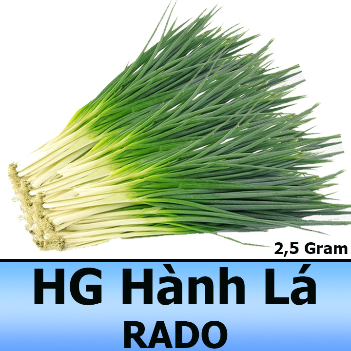 Hạt Giống Hành Lá Cao Sản, Dễ Trồng 2,5G