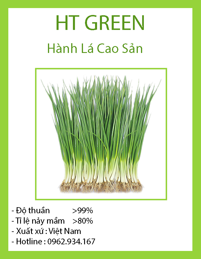 Hạt giống hành lá cao sản