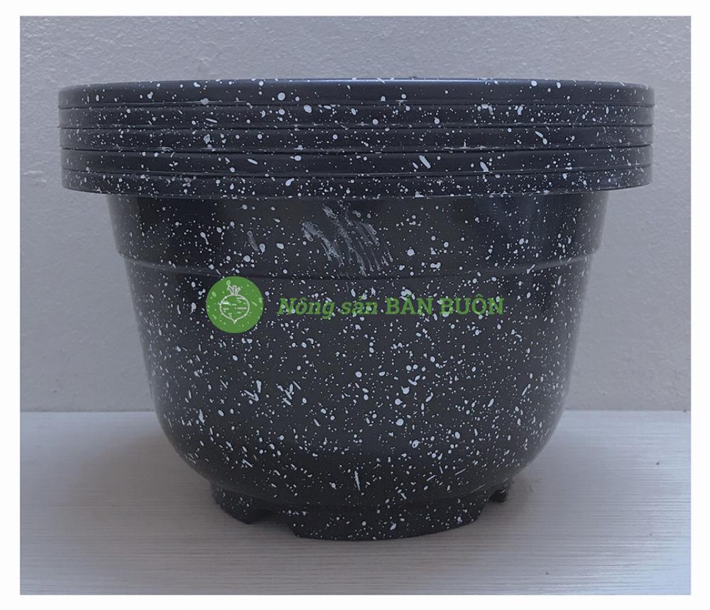5 Chậu Nhựa Trồng Hoa Cây Cảnh Giả Đá Đen A250x170 - Kích Thước 23x14 cm (Rộng miệng X Cao)