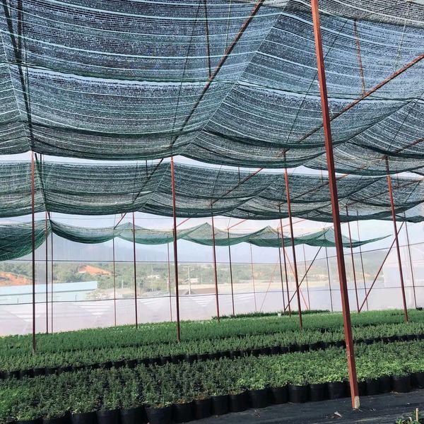 Lưới che nắng Thái Lan che phủ 70% khổ rộng 2M