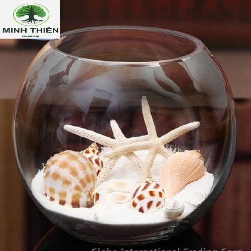 Bể cá thủy tinh bầu hồ cá d10cm x h8cm t07