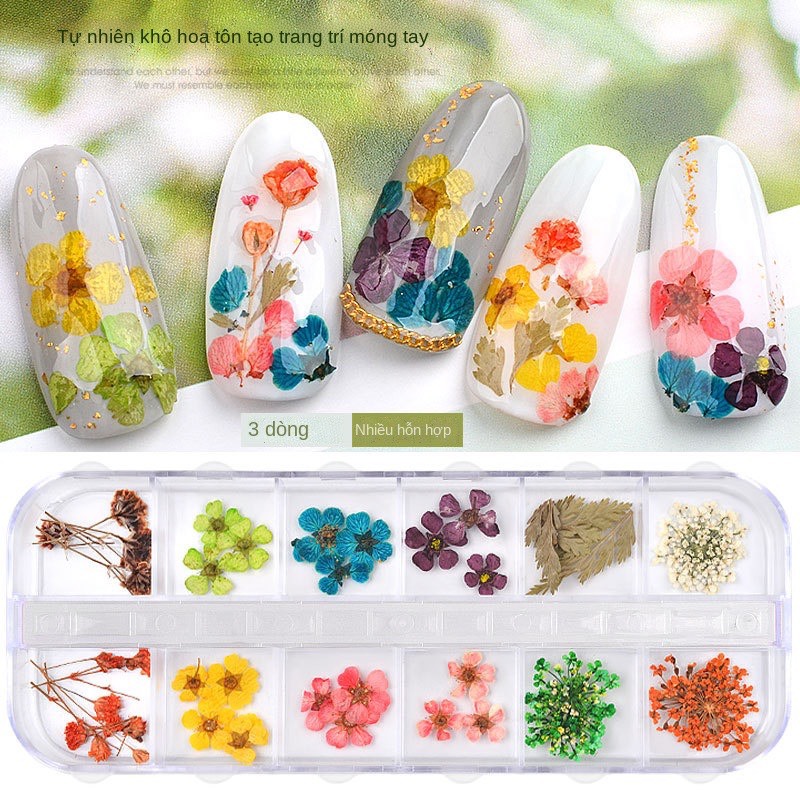 Hoa khô làm nail, dán móng tay.