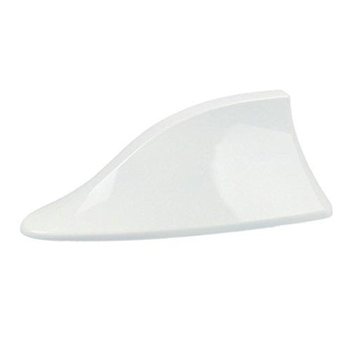 Ăng ten vây cá trang trí cho oto tăng khả năng bắt sóng