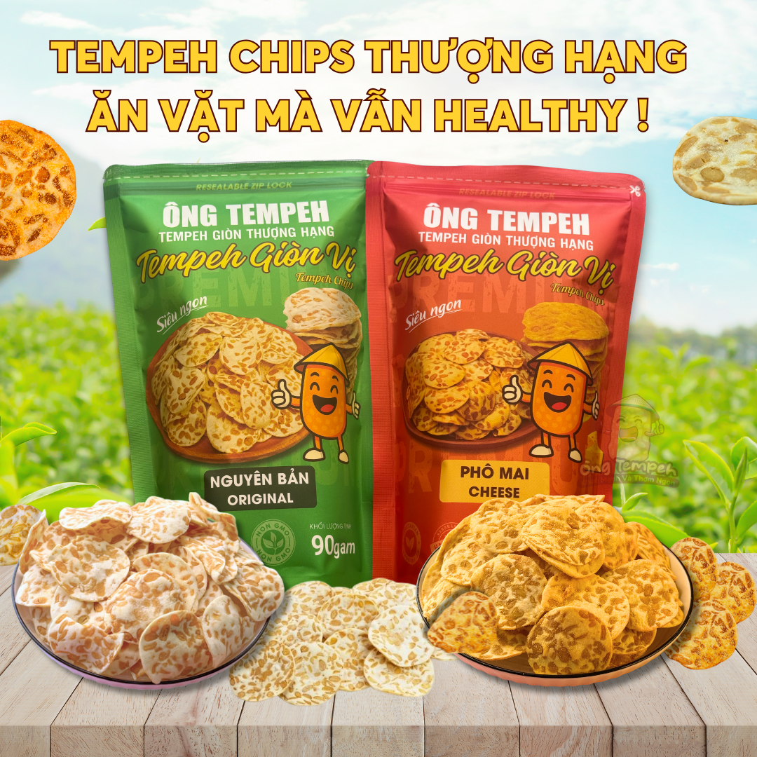 Tempeh Chips Healthy Rich in Protein Mr. Tempeh