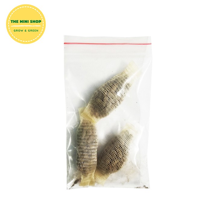 Phân bón túi lưới tan chậm kích thích ra hoa chuyên cho hoa lan, phong lan - 3 túi