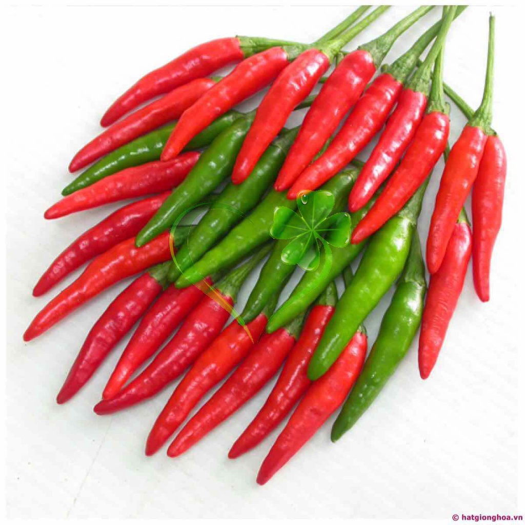 Hạt giống ớt chỉ thiên siêu cay ớt hiểm - gói 0.3 gram