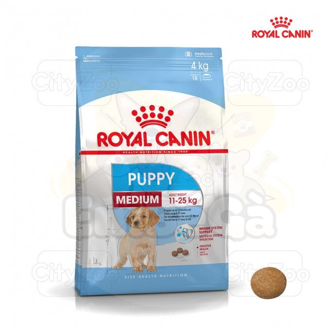 Thức ăn cho chó con Royal Canin Medium Junior/Puppy