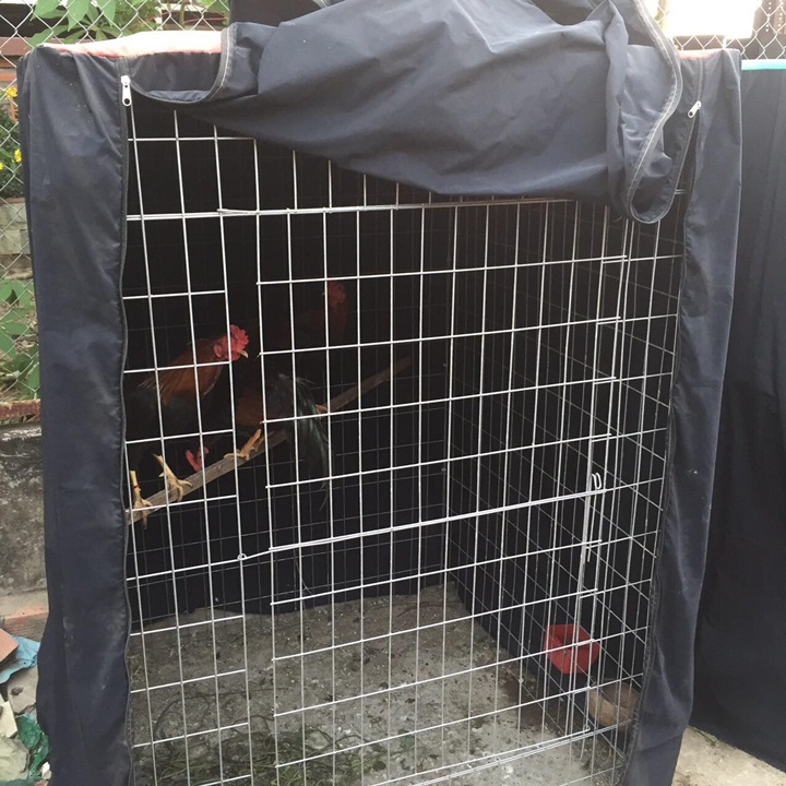 [HCM]BÁN CHẠY Mùng Vuông Che Mưa Cho Chuồng Gà Đá - Có X 2 Kích Thước