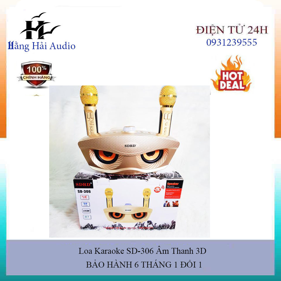 Loa kèm mic hát karaoke sd 306