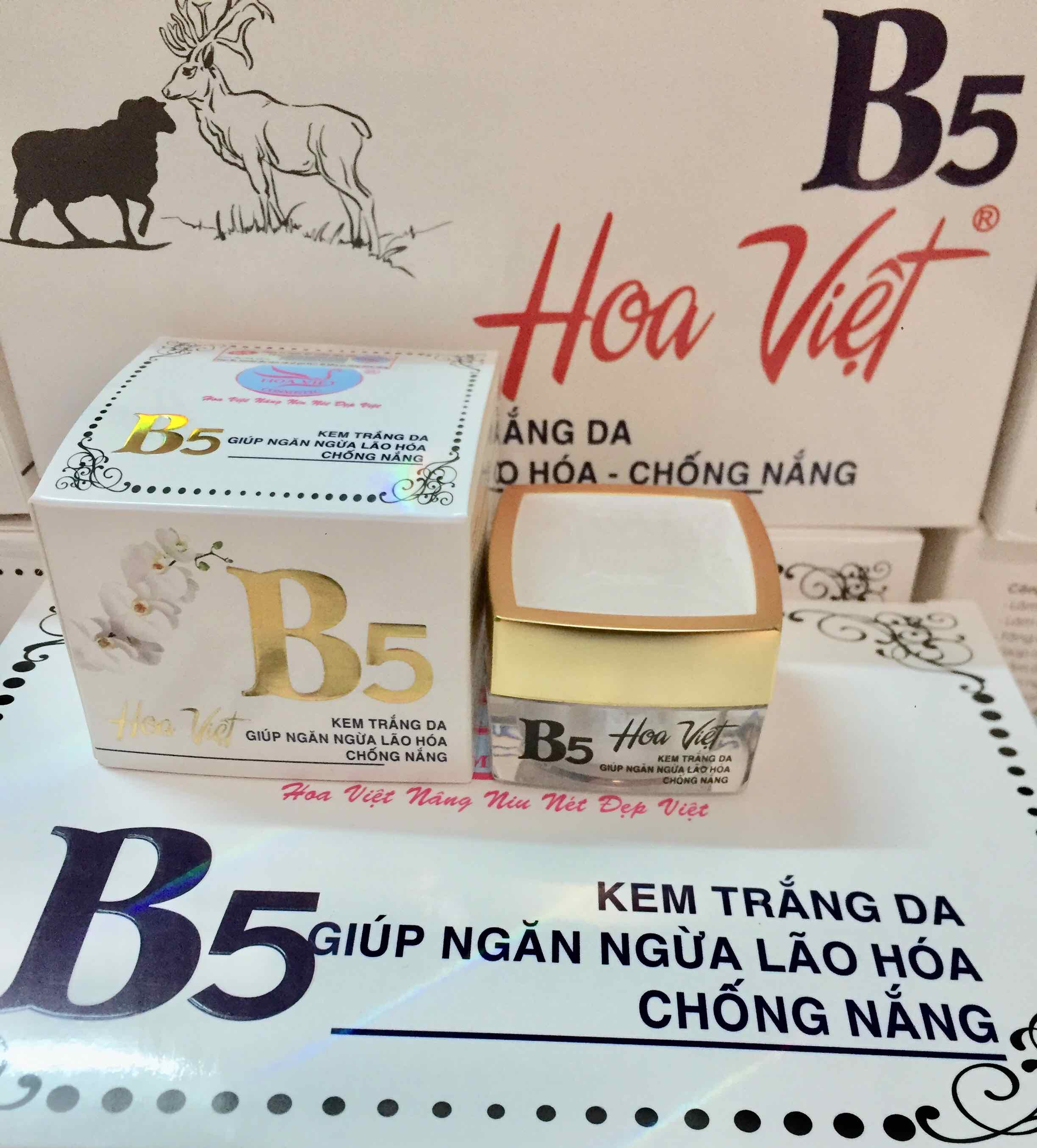Kem Hoa Việt B5 - Kem Trắng da ngừa lão hóa chống nắng 15g