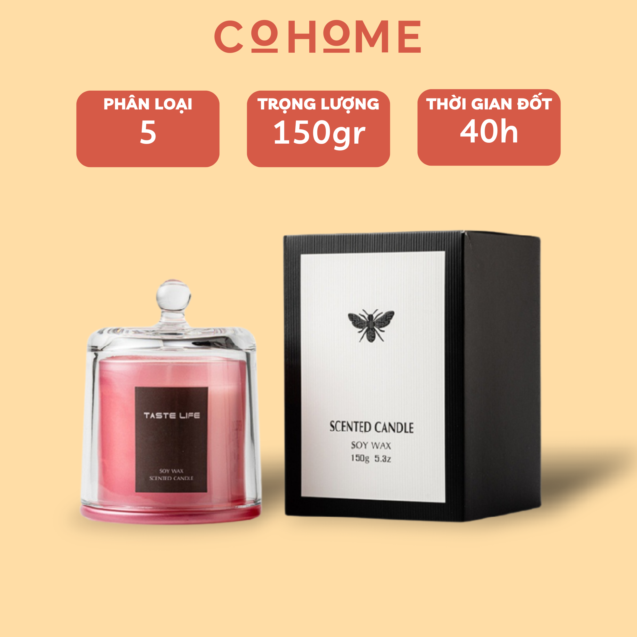 Nến thơm phòng cao cấp set đế chụp kính, nến thơm không khói mùi hương tự nhiên