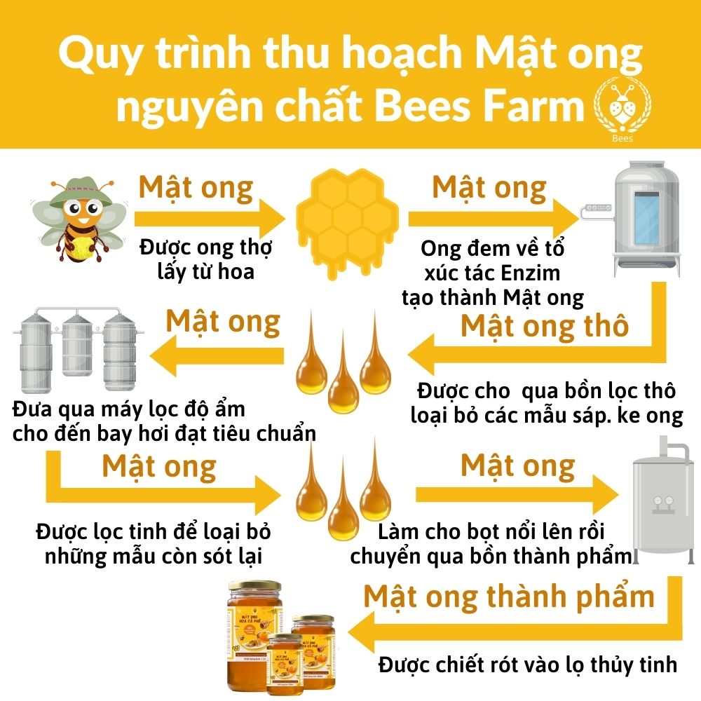 [combo] 3 lọ mật ong rừng nguyên chất tự nhiên hoa cà phê 500ml siêu tiết kiệm cho gia đình 4