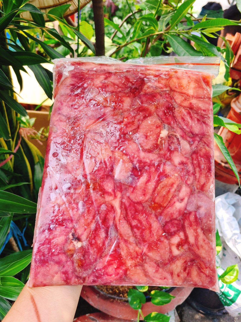 Bao tử cá BaSa 1kg loại ngon siêu giòn (giao tphcm)