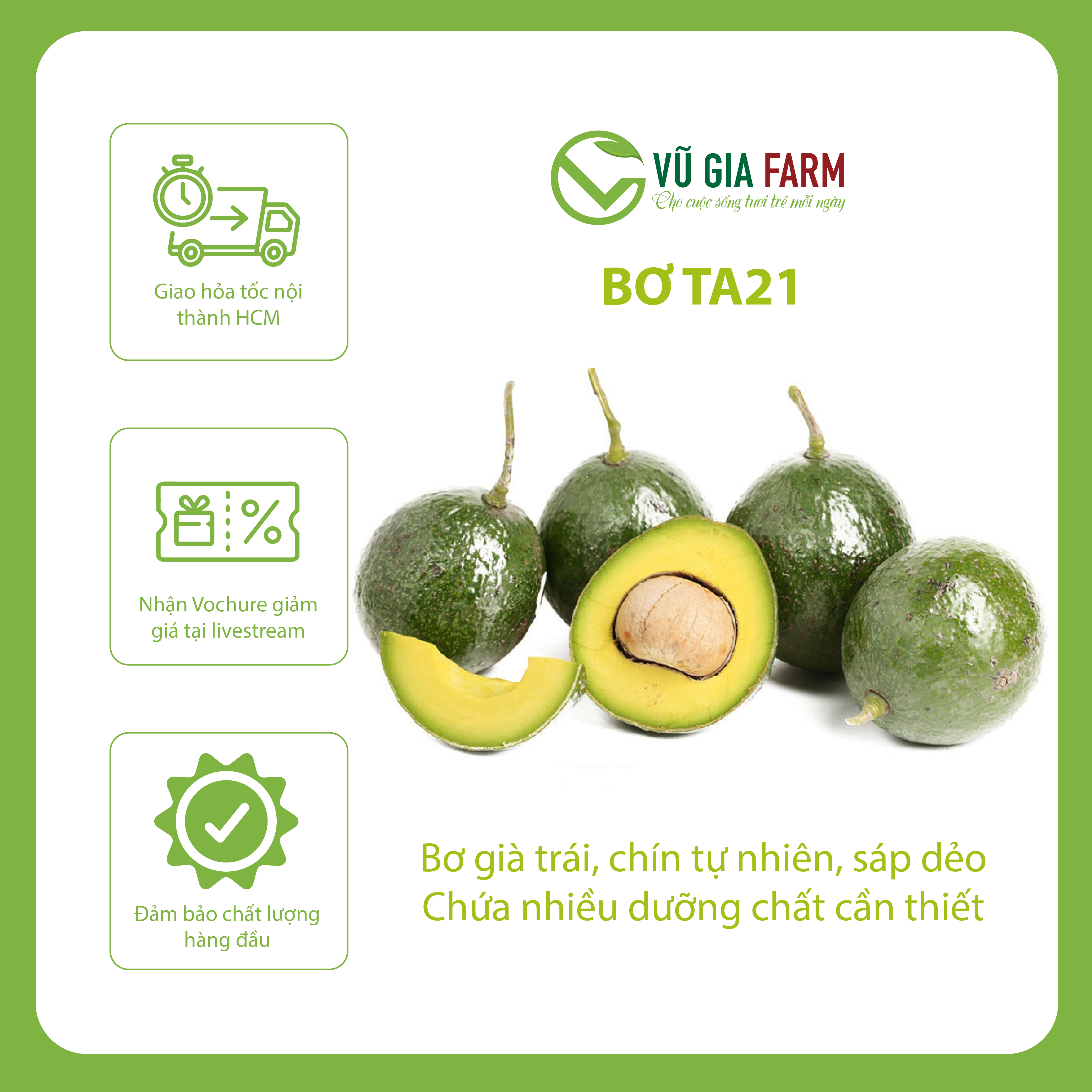 [TOÀN QUỐC] THÙNG 3 - 3.5KG Bơ TA21/ Bơ Booth/ Bơ 034 Size 2-3-4 trái/kg Tây Nguyên Vũ Gia Farm - bơ sạch nhà trồng, thu hoạch trực tiếp tại vườn, cơm vàng sáp dẻo ngon lắm ạ