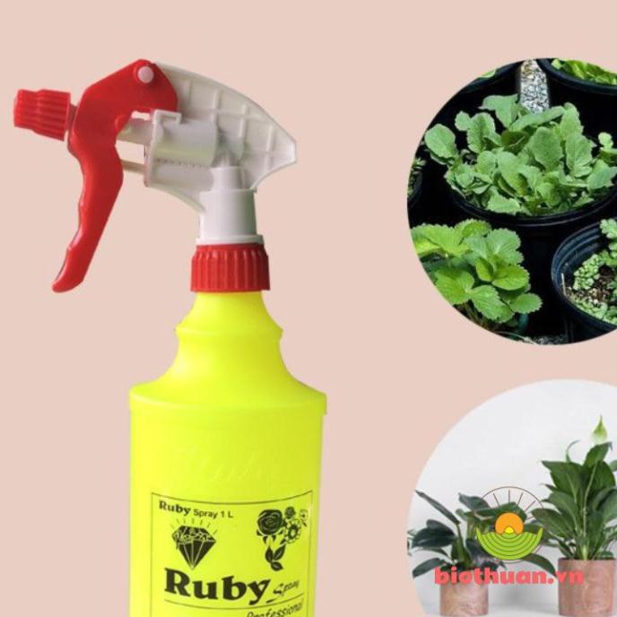 Bình tưới cây phun sương - 1 lít