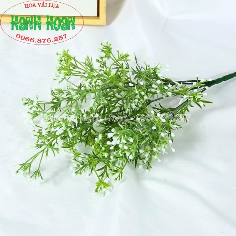 Chùm hoa điểm gạo - Hoa điểm