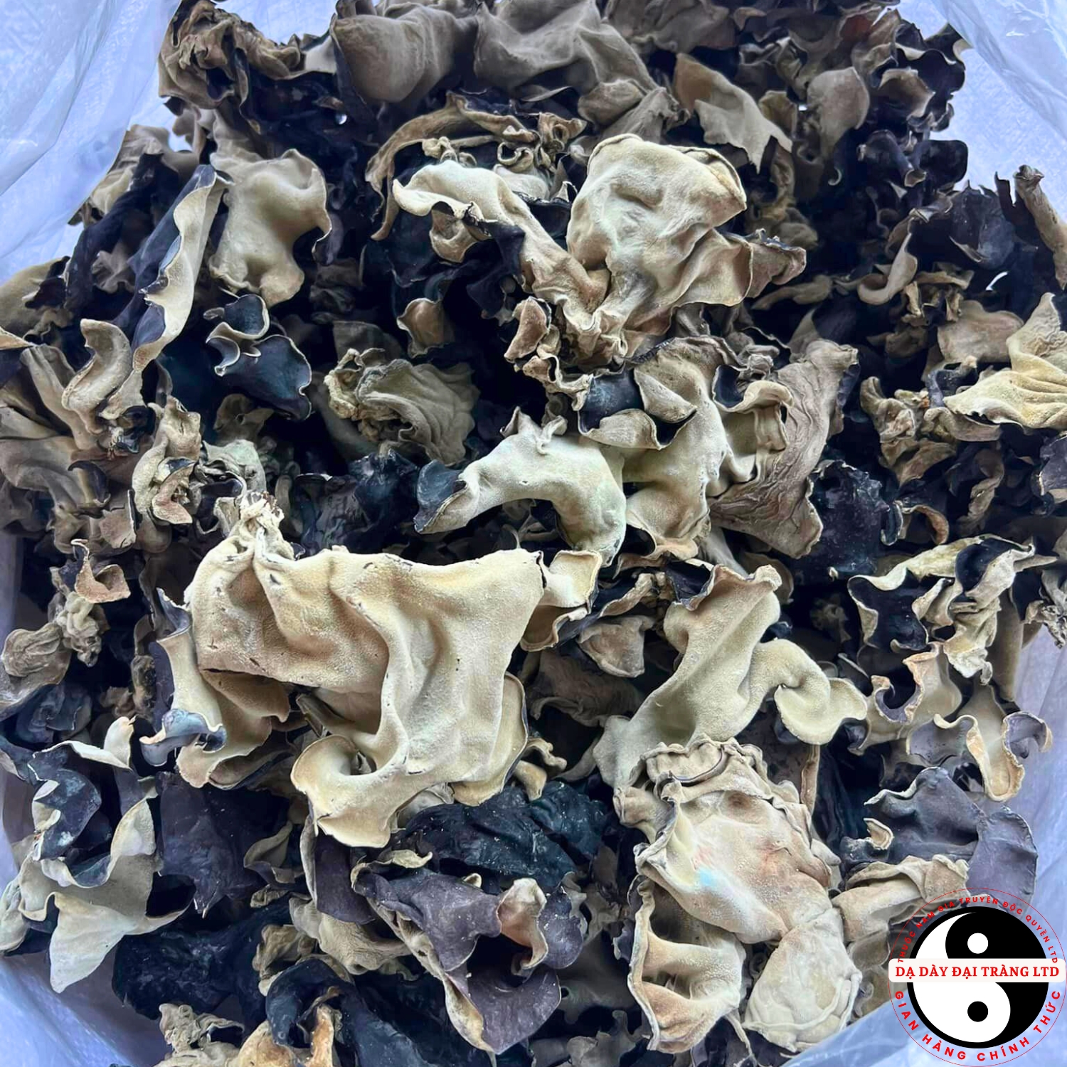 Mộc nhĩ rừng khô cao cấp loại 1 ngon giòn, không tẩm hóa chất, tai nấm to. Đặc sản mộc nhĩ đen, nấm mèo khô Tây Bắc