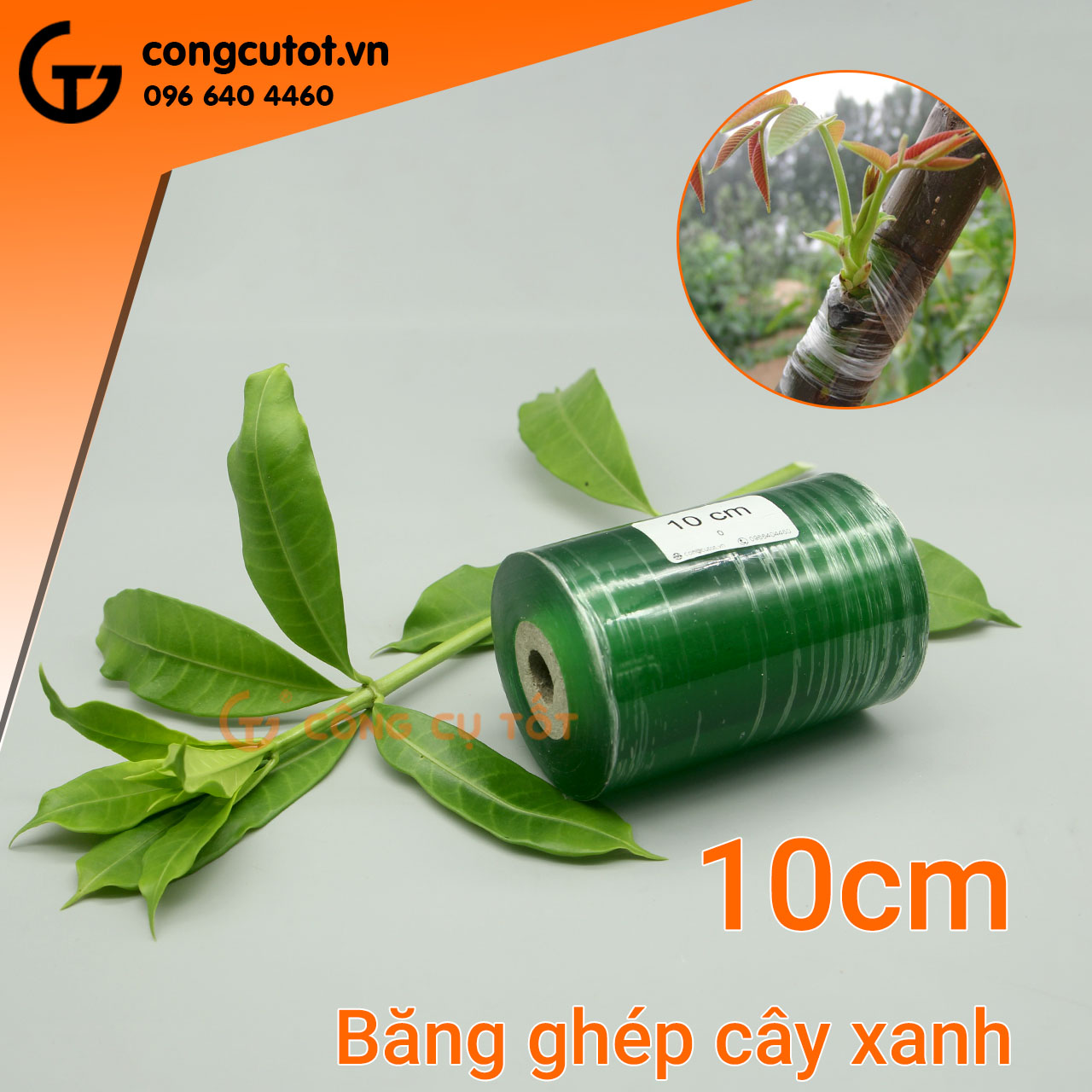 Băng keo ghép cây xanh size tùy chọn