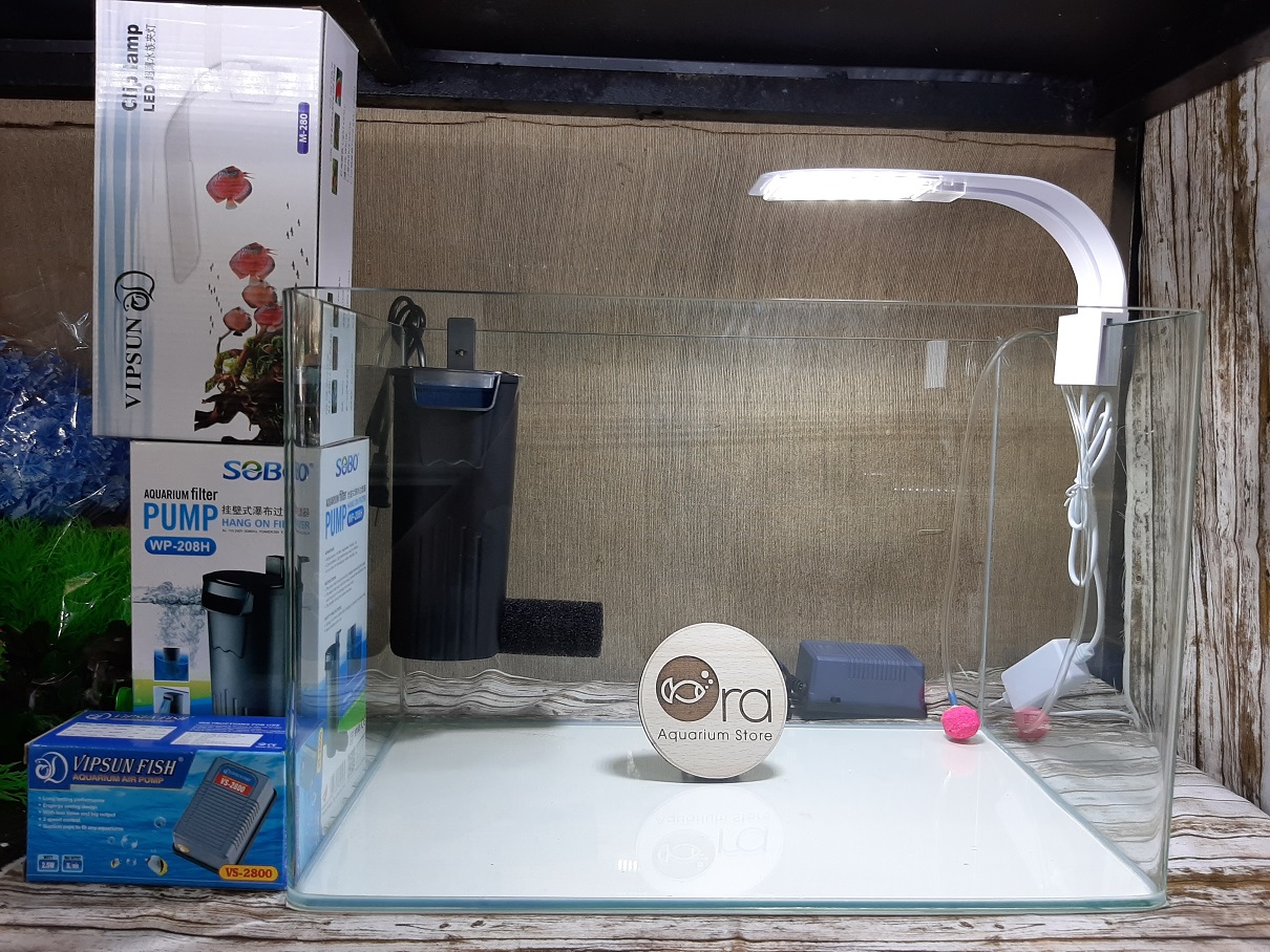 BỘ HỒ 45CM+LỌC+ĐÈN+OXY - Hồ Cá Phong Thủy Để Bàn Văn phòng - Giá đã bao gồm thùng xốp vận chuyển