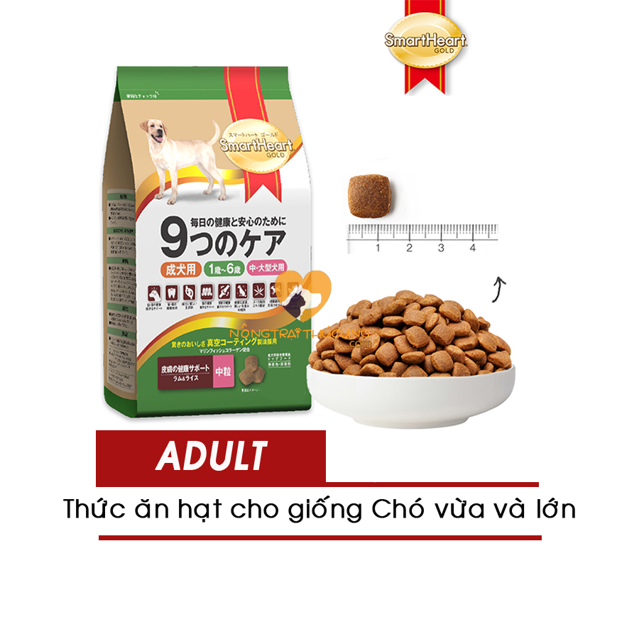 Thức ăn cho chó trưởng thành smartheart gold lamb and rice gói 6kg - vị thịt cừu và gạo -