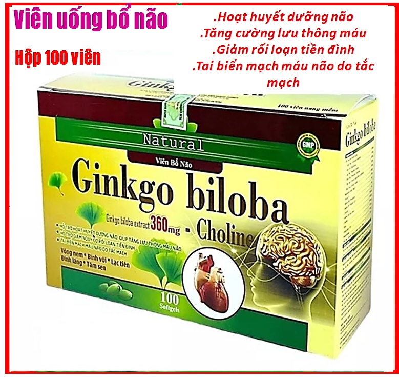 VIên uống bổ não Ginkgo Biloba extract - Giúp tăng cường lưu thông máu não, hỗ trợ giảm di chứng sau tai biến mạch máu não- Hộp 100 viên
