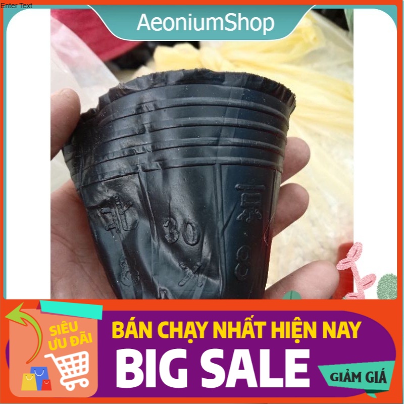 100 bầu ươm 8x8cm trồng cây giống, sen đá, xương rồng