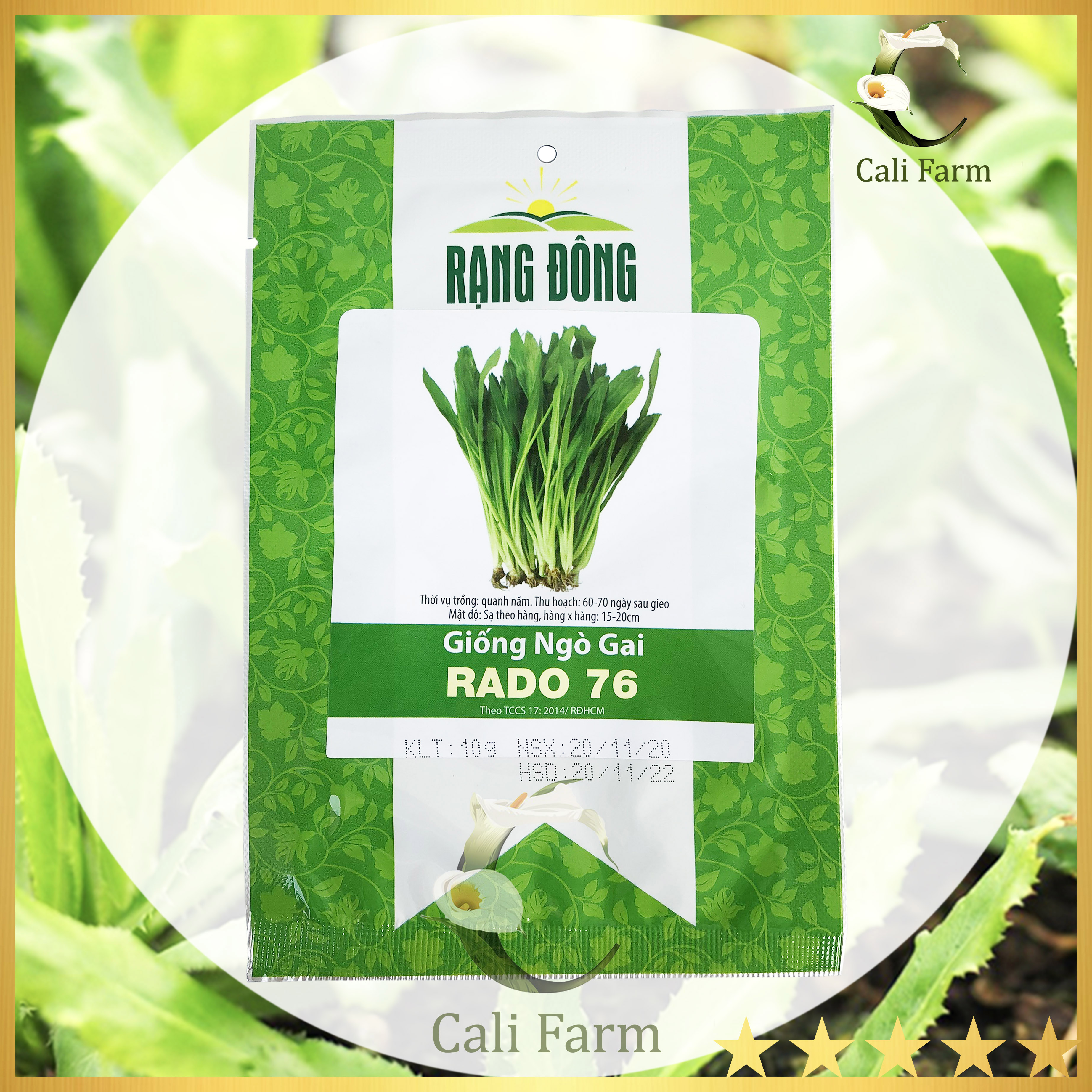 Hạt giống ngò gai rado 76 rau gia vị thơm ngon