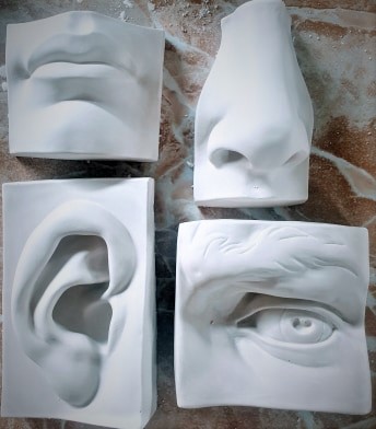 Tượng thạch cao. Tượng thạch cao ôn thi. tượng ngũ quan chi tiết ôn thi. Tượng ôn thi. Tượng trang trí. Tượng vẽ