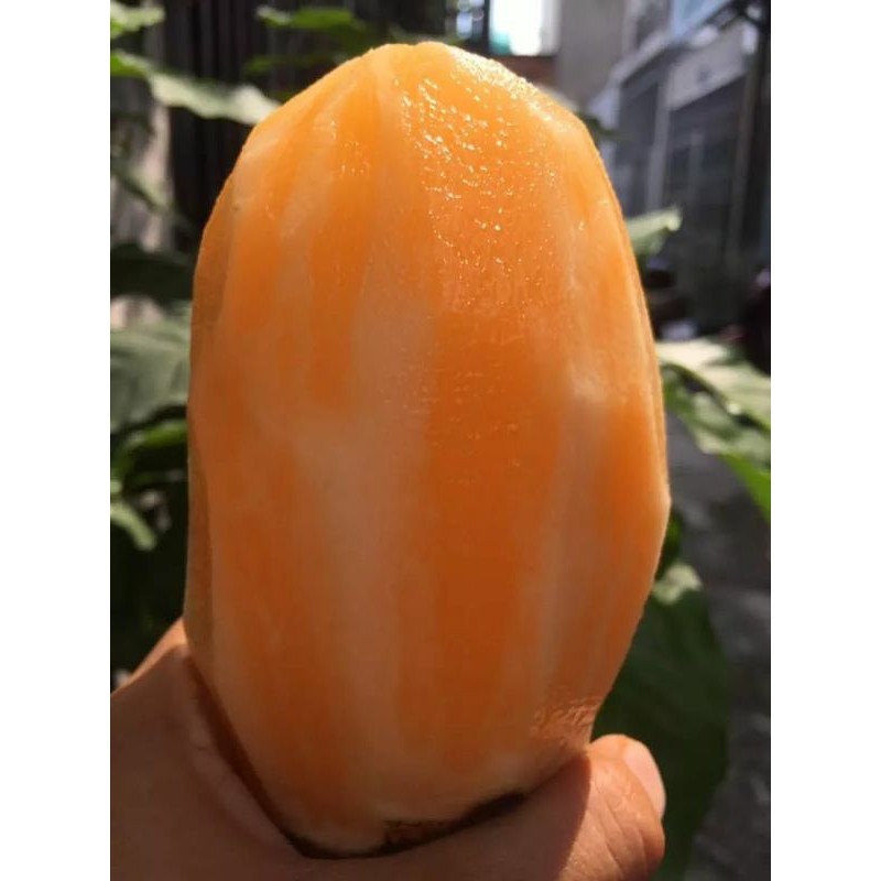 Khoai sâm 1kg