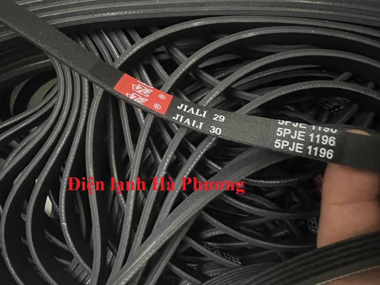 Dây curoa máy giặt cửa ngang electrolux 1196 - f55