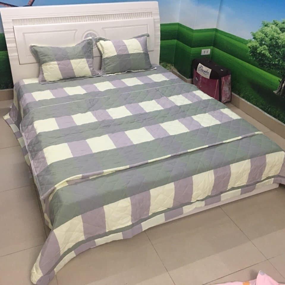 Bộ Chần Phao 5 Món - Bộ ga phủ Poli trần bông freesize 5 món