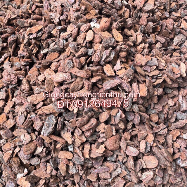 Cung cấp vỏ thông xay trồng lan đã xử lí