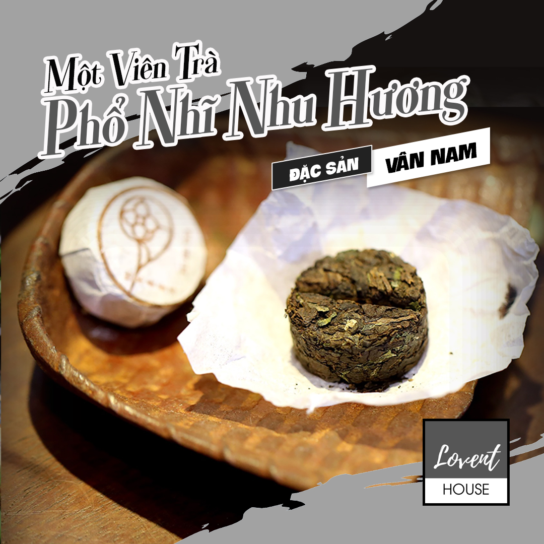Thục trà phổ nhĩ nhu hương - phổ nhĩ viên lá nếp