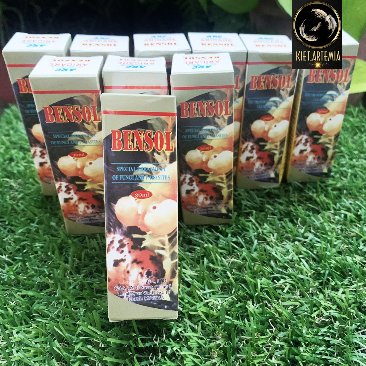 Xử lý nấm kí sinh cho cá cảnh Bensol