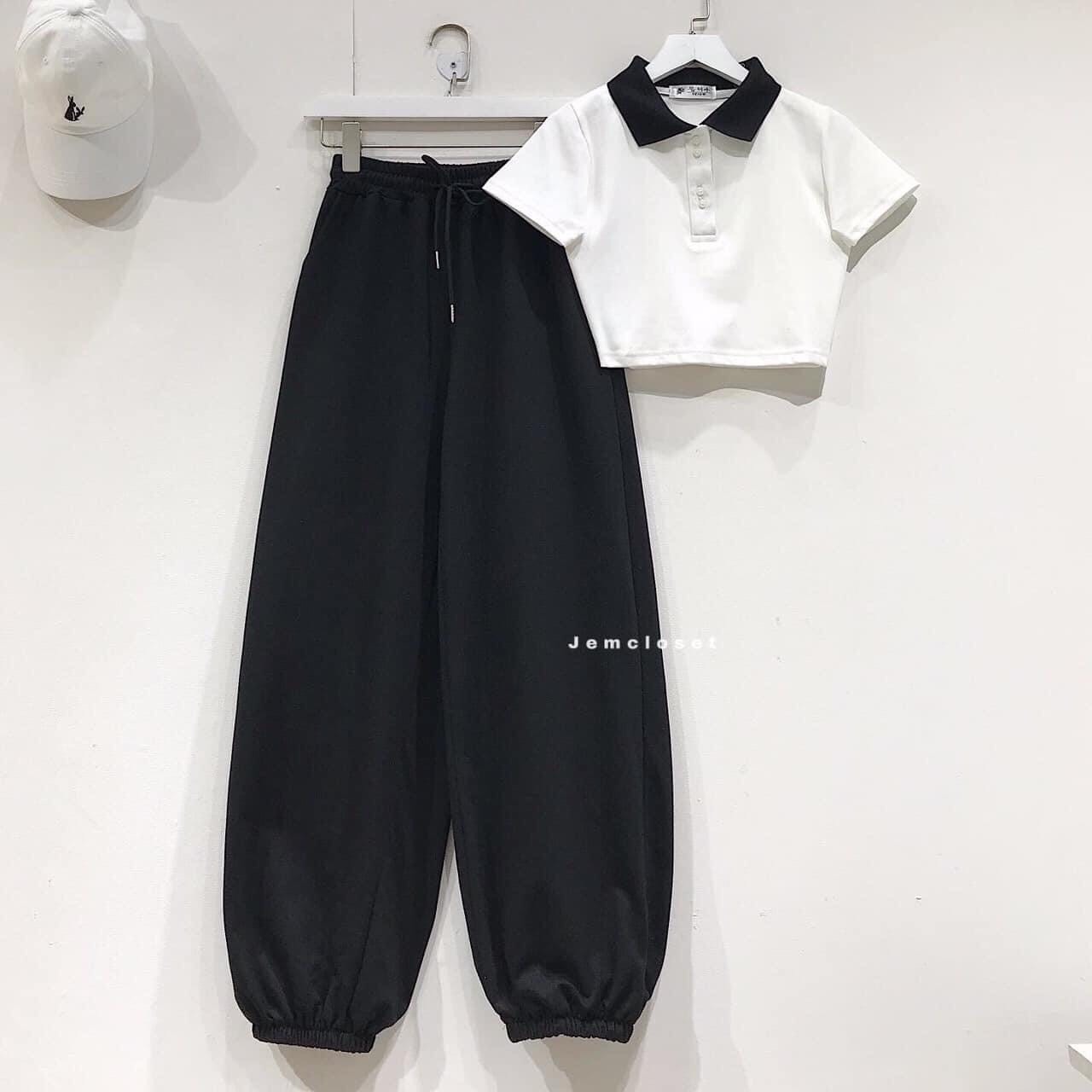 SET QUẦN JOGGER TRƠN + ÁO CROP PETTER