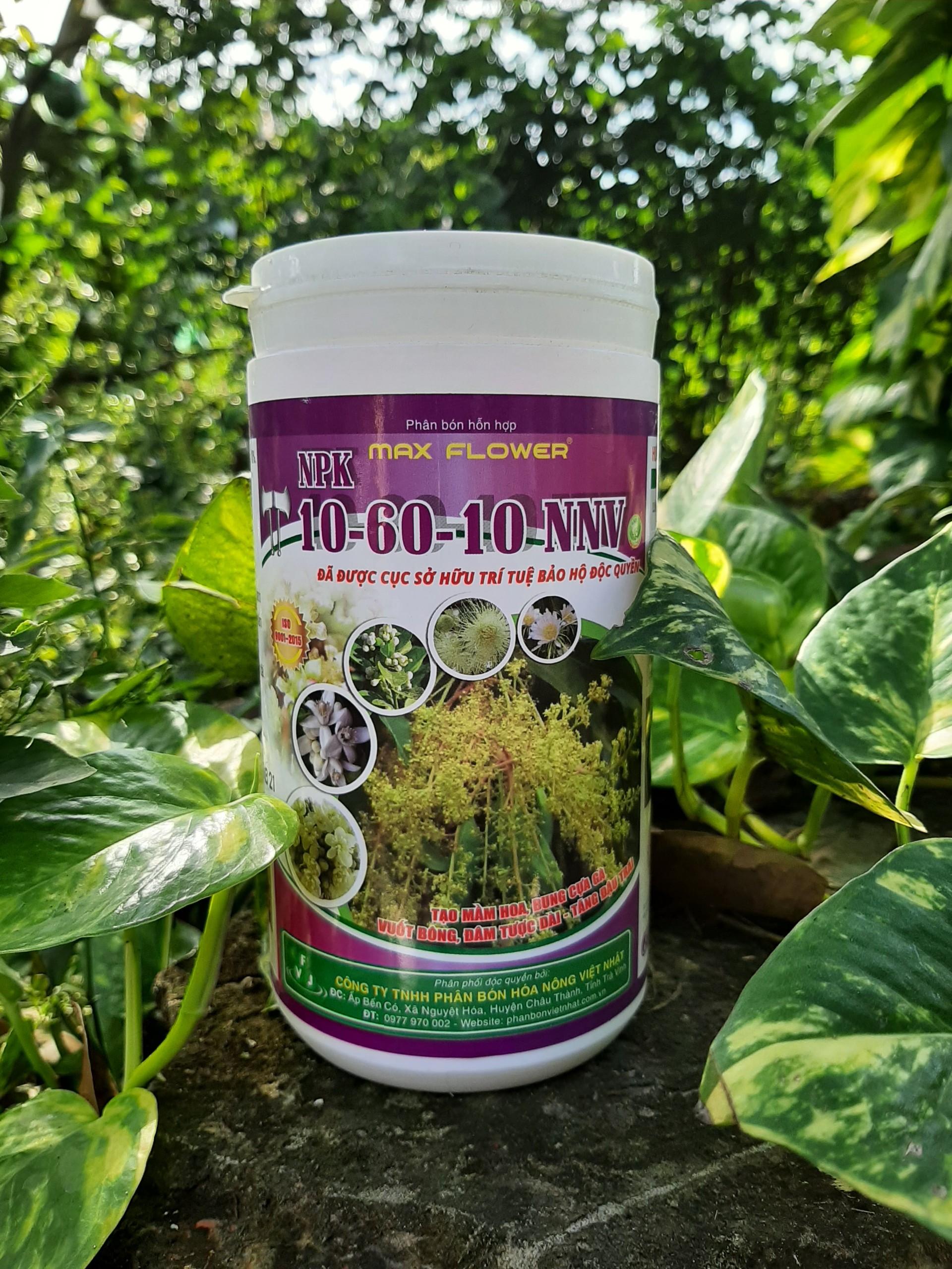 Phân bón npk 10-60-10 tạo mầm hoa, bung cựa gà, vuốt bông hủ 500gram_vtnn trung thien thinh