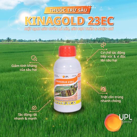Thuốc trừ sâu KinaGold 23EC | Sâu trốn cũng diệt, Nhện trốn cũng tiêu