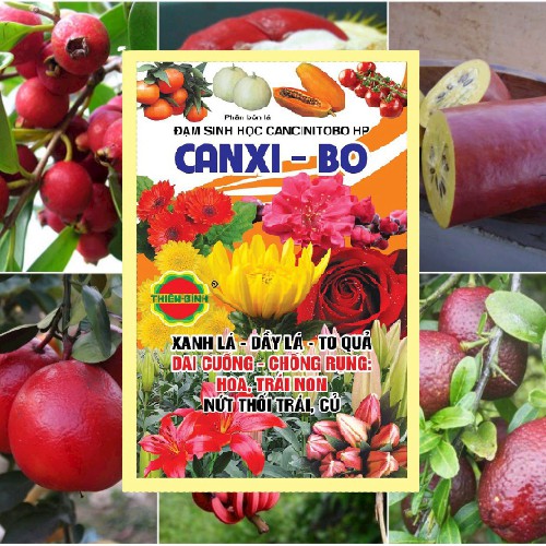 Phân bón đạm canxi boron thiên bình .