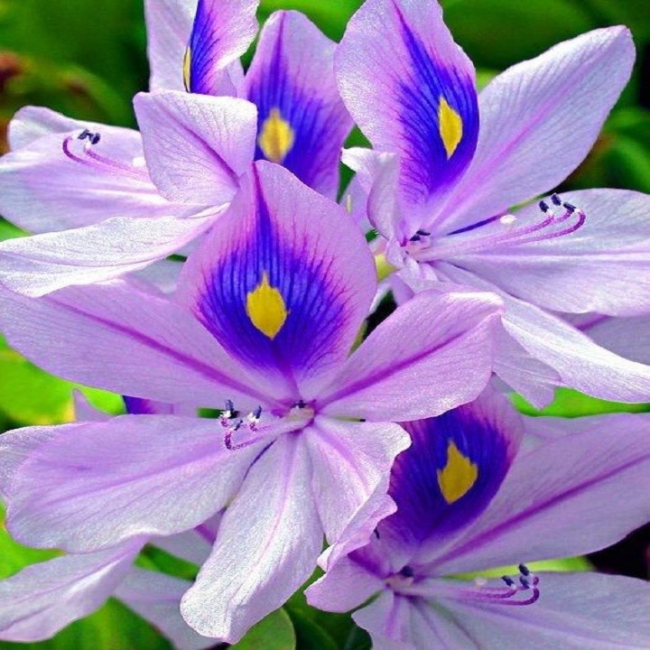 BGkgYnf4Z0xHw9fkUSlW_simg_d0daf0_800x1200_max.jpg