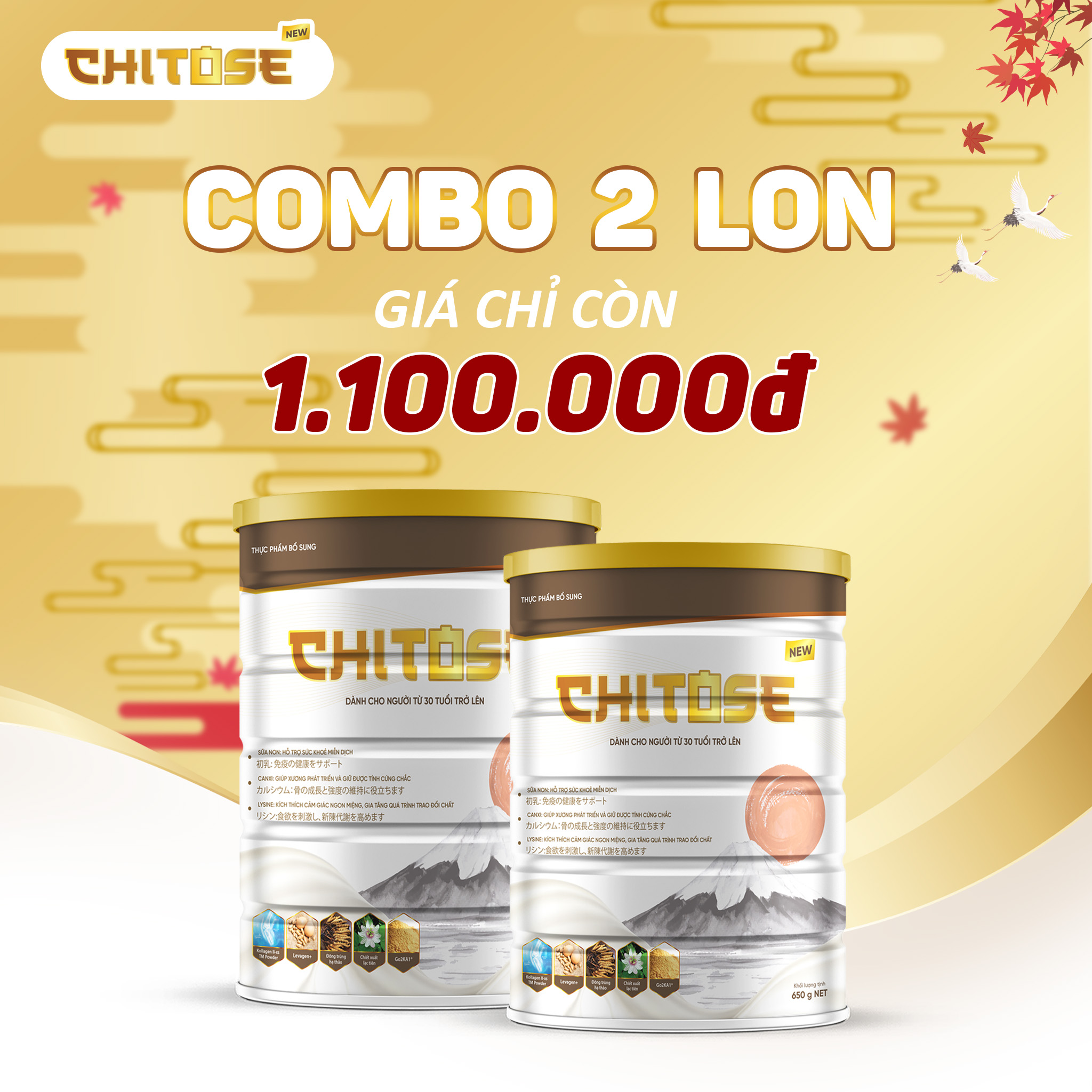 Combo 2 lon Sữa dinh dưỡng Chitose hỗ trợ sức khoẻ miễn dịch dành cho người cao tuổi từ Nhật Bản