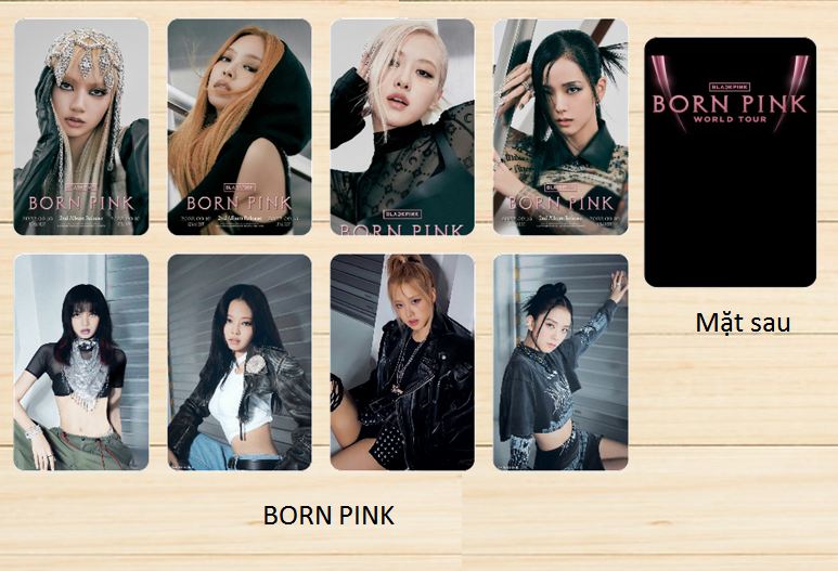 Sét 8 card bo góc backpink 2 mặt