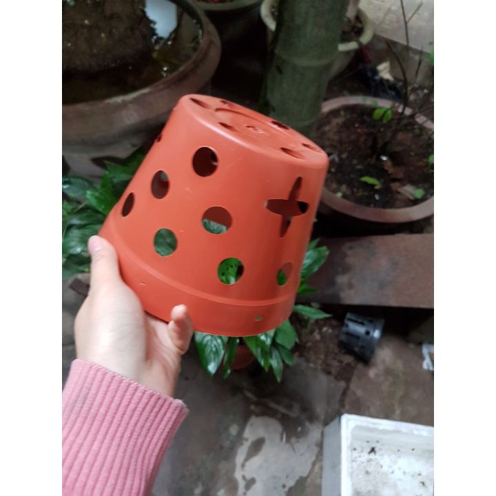 5 Chậu nhựa giả gốm loại fi 14.5
