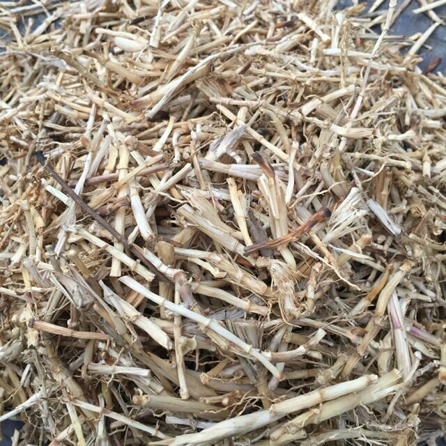 1kg rễ tranh - rễ cỏ tranh