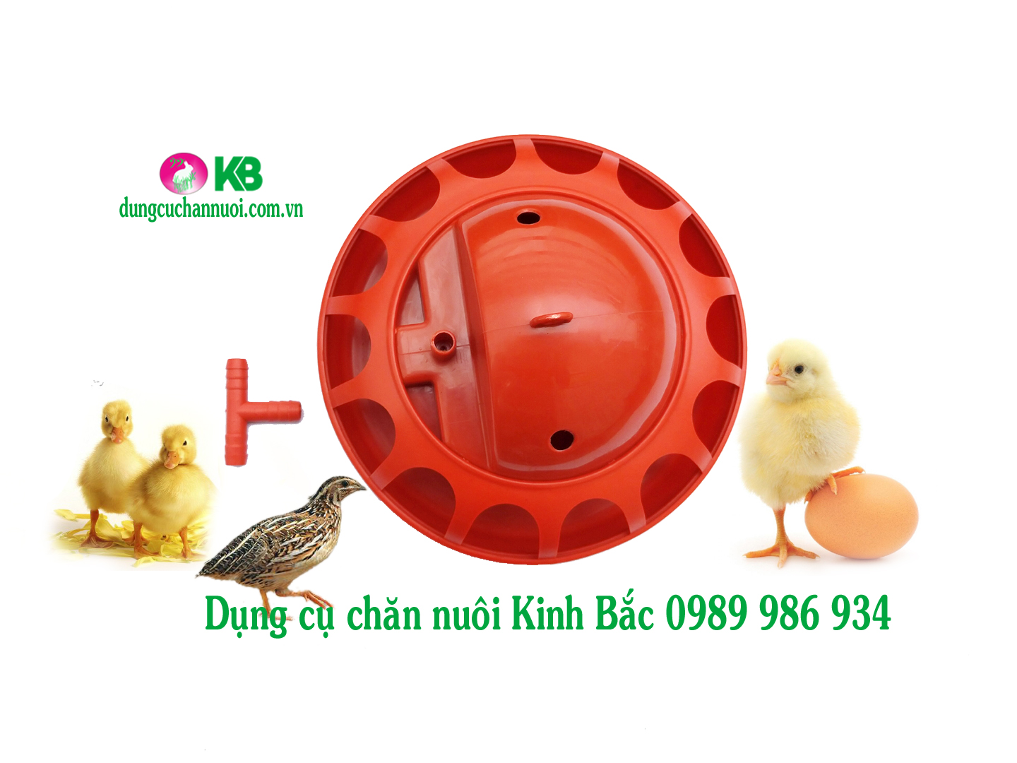 Máng uống tự động cho gà vịt ngan chim cút