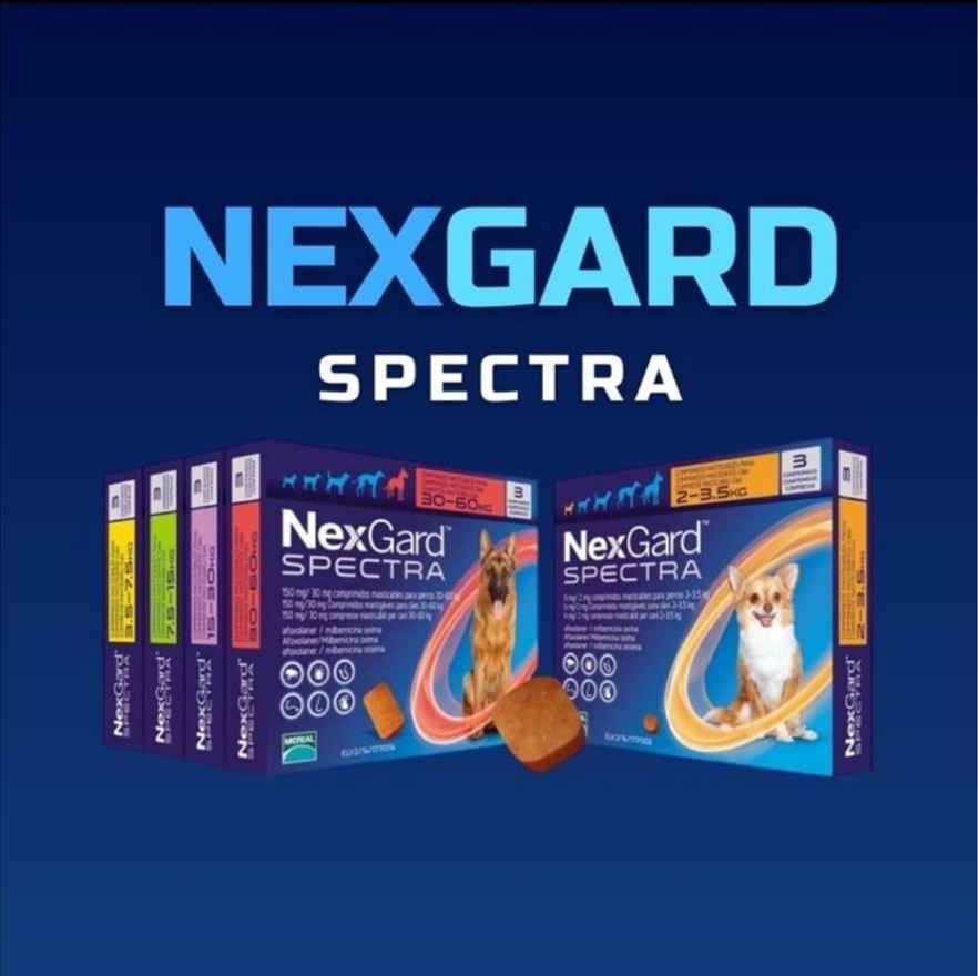 Nexgard spectra- viên nhai trị ve rận, tẩy giun dành cho chó vị thịt bò thơm ngon