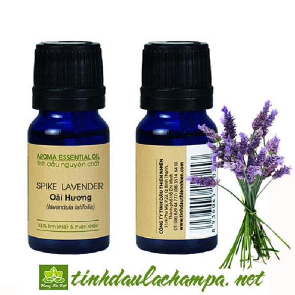 [HCM]TINH DẦU OẢI HƯƠNG SPIKE BỒ ĐÀO NHA NGUYÊN CHẤT LA CHAMPA (LỌ 10ML) LAVENDER SPIKE OIL THƯ GIÃN GIẢM CĂNG THẲNG MAU LÀNH VẾT THƯƠNG