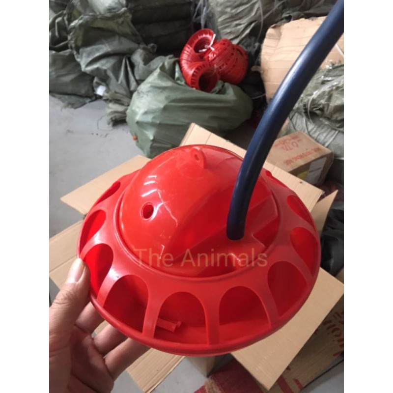 [HCM][Set 5 cái] Máng uống nước cho chim cút gà còn vịt con